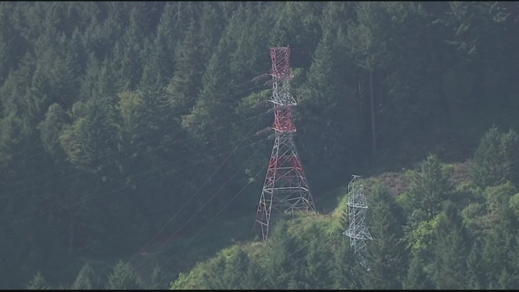 'If you open this Pandora’s box': Forest Park advocates plan to appeal city’s approval of PGE powerline expansion