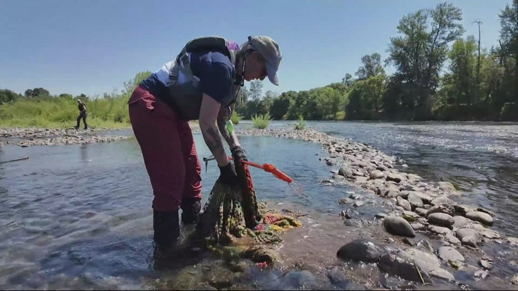 From mattresses to a Volkswagen bumper, volunteers clean up Willamette River