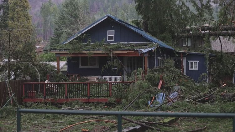Over 70 structures left damaged in Detroit after last week's storm