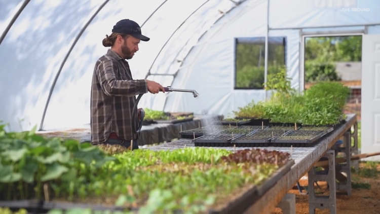 Regenerative farming benefits you and the planet, a UW study says. In Carlton, the proof is Inn the Ground