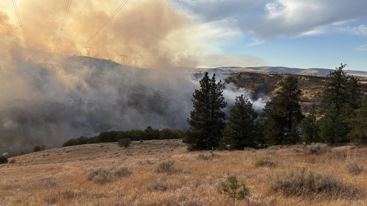 Multiple agencies respond to brush fire near Hood River