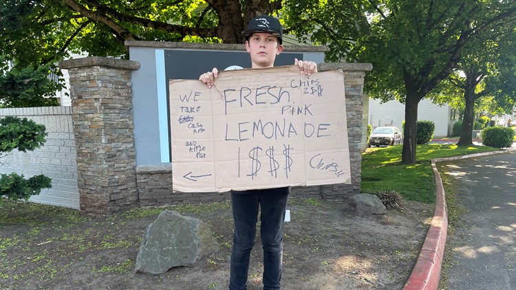 'I kicked his shin and I ran': 11-year-old boy escapes man who tried to kidnap him from lemonade stand