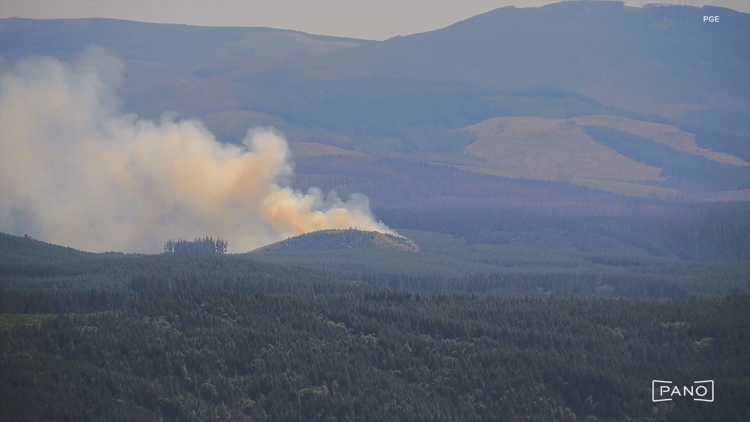 PGE adds artificial intelligence to detect wildfires, hazards