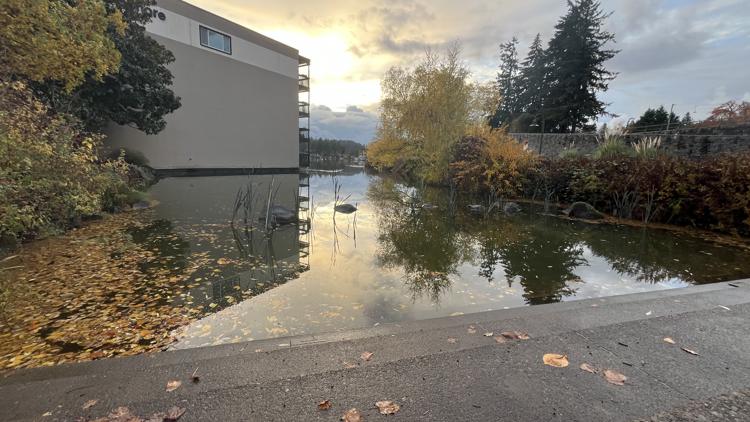 Lake Oswego homeowners appeal court ruling allowing public access to lake