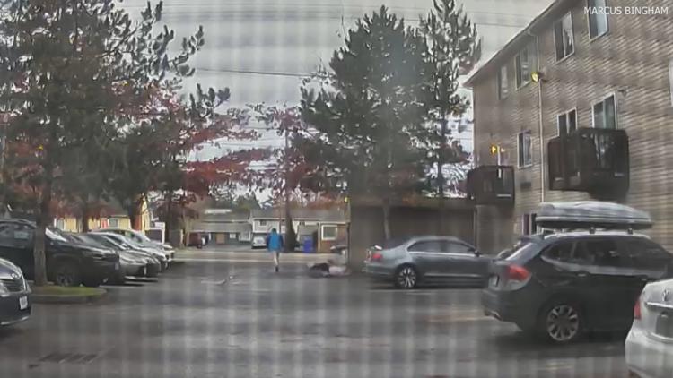 Police arrest man alleged to have randomly punched 2, including Portland grandmother