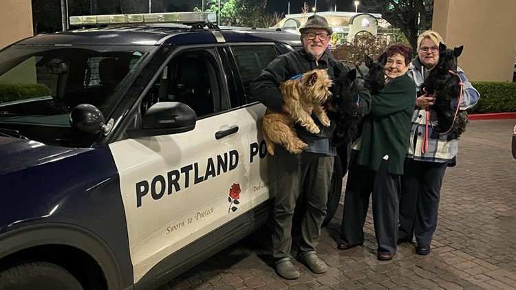 4 show dogs returned to owners after stolen van was recovered