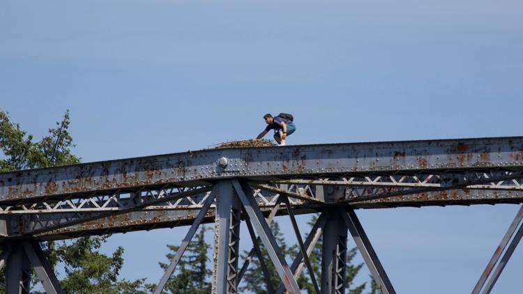 Bird watcher sees man apparently snatch egg from osprey nest at Oregon park: ‘What for?’