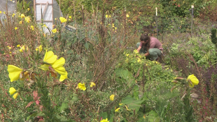 Rhythm Seed Farm seeks new home as Habitat for Humanity plans affordable housing at urban farm site
