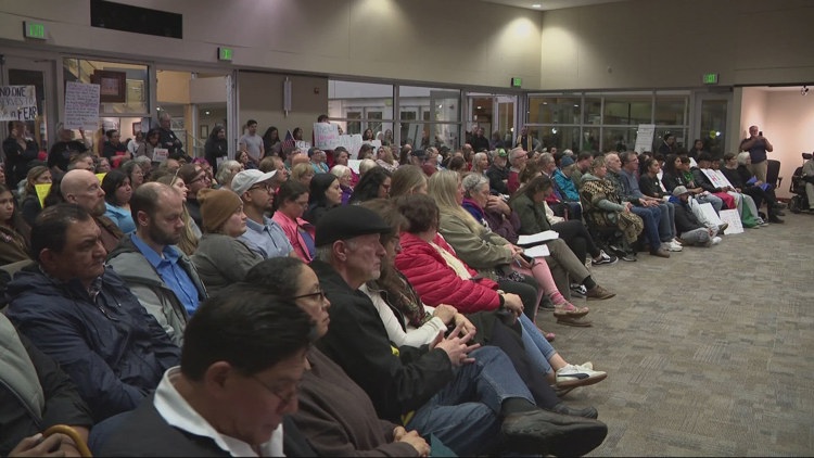 'This community is terrified': Hillsboro residents show up in force to council meeting to sound the alarm over influx of ICE activity