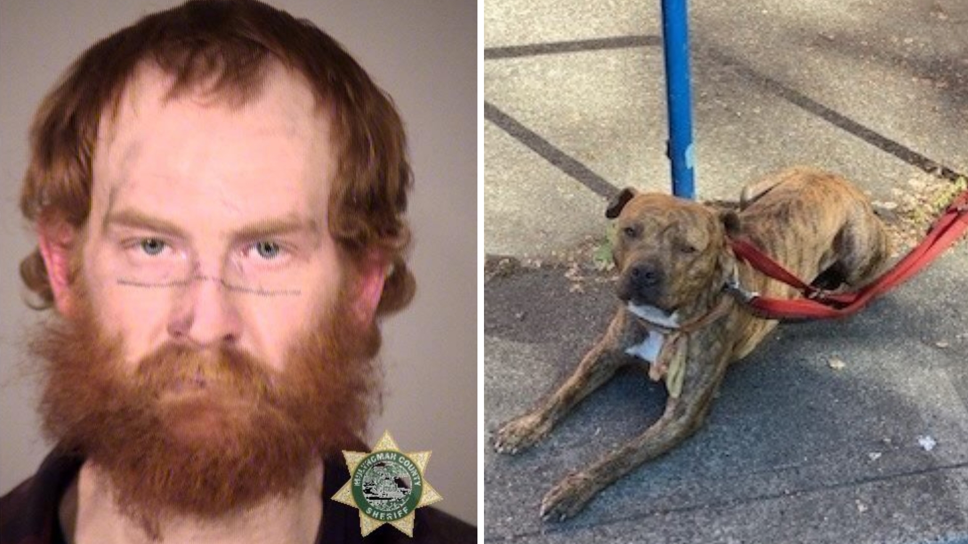 Man called Black man racial slur, ordered dog to attack