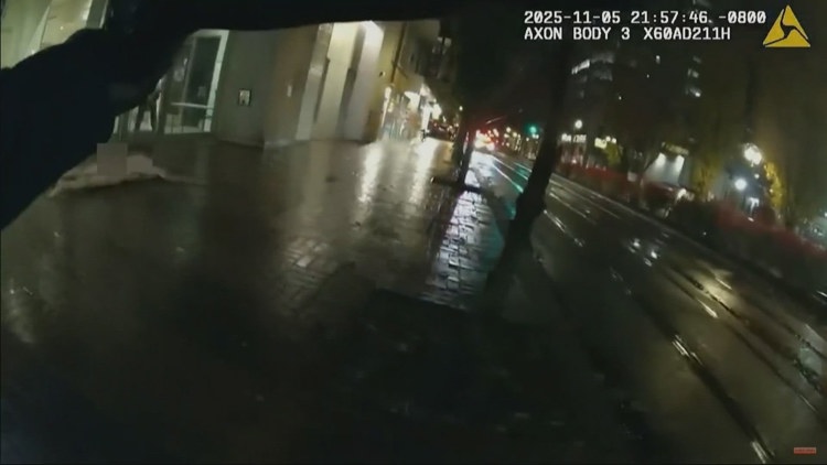 Portland Police release body camera video of officers hitting armed, naked suspect with patrol vehicle