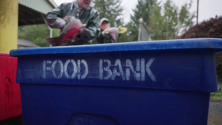 Returning Oregon salmon are gathered and donated for people struggling with food insecurity