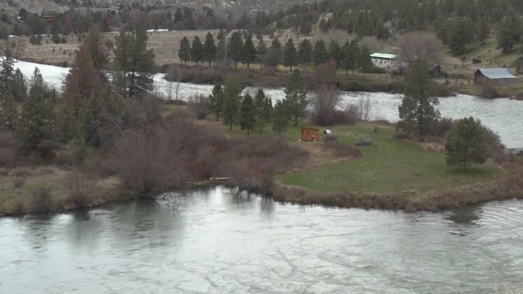 Steelhead return highlights collaborative efforts to restore native fish runs on Deschutes River