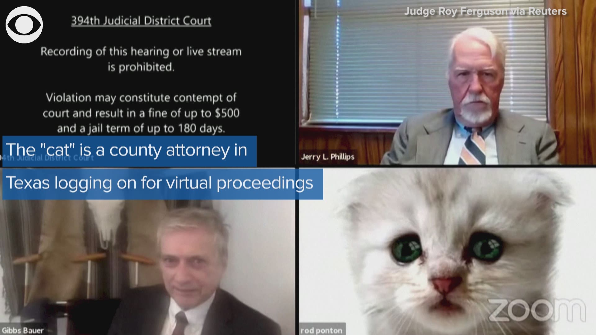 I M Not A Cat Tx Attorney Flustered By Kitten Filter On Zoom 10tv Com