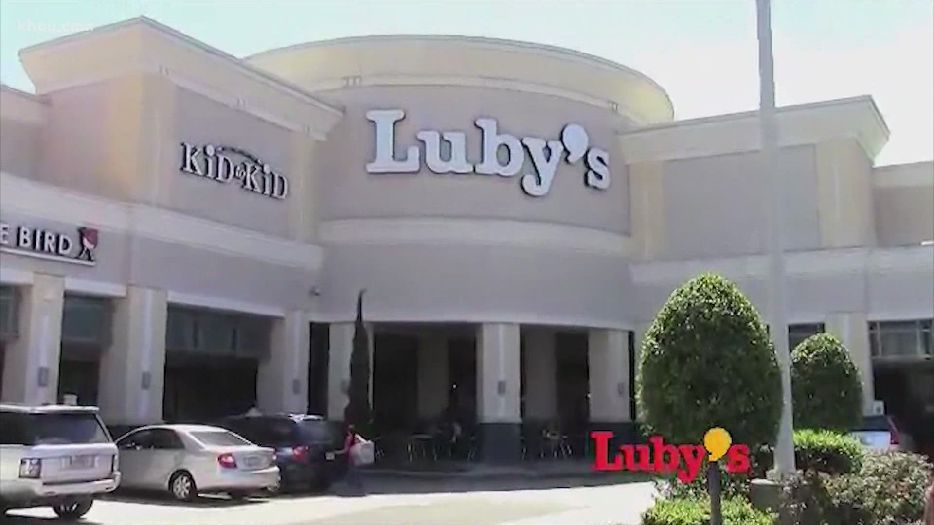 Stockholders must still approve the liquidation plan agreed upon by Luby's Inc. board members.