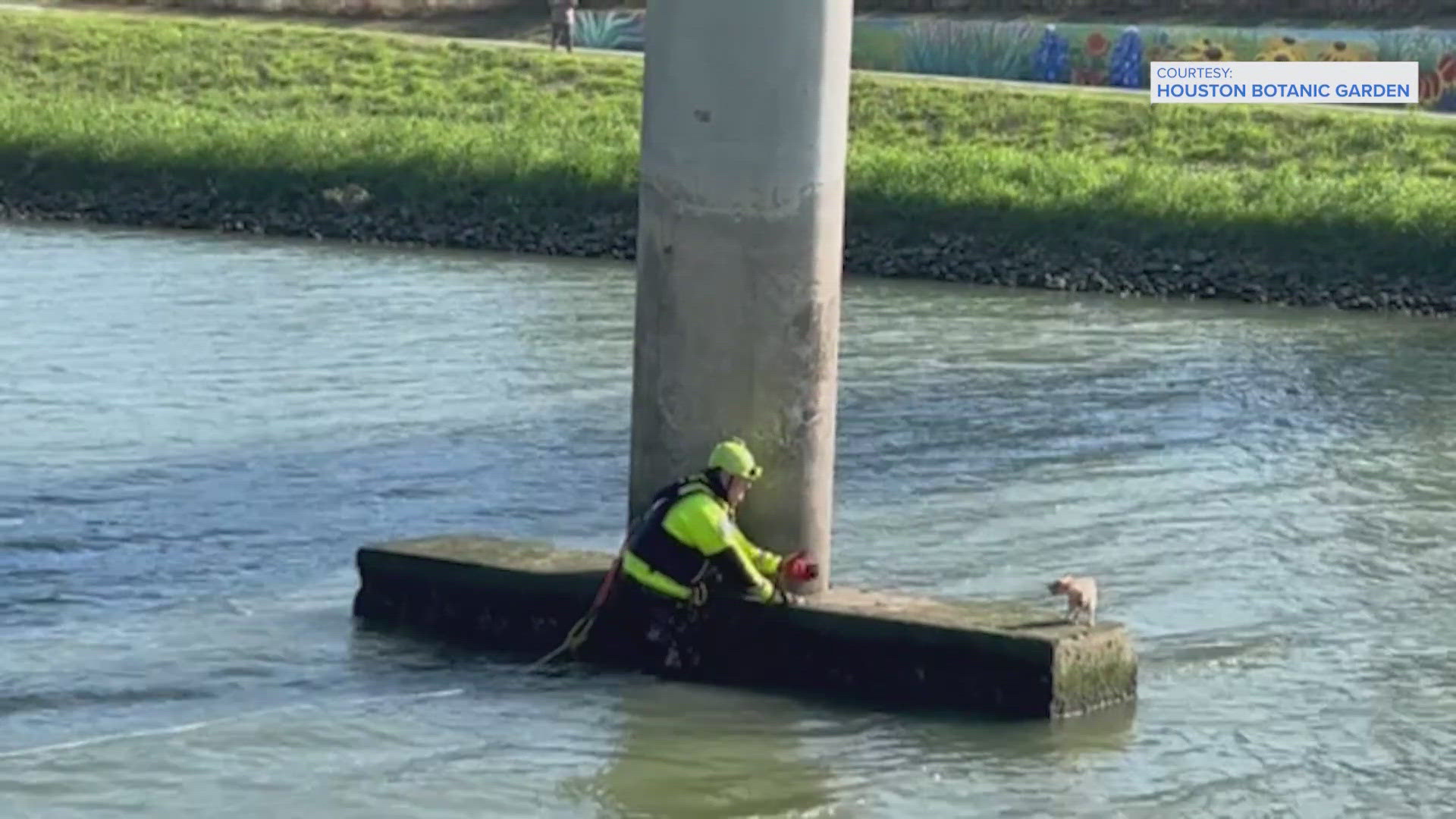 James Boyd with the Houston Fire Department said he hadn't ever saved an animal before. The video went viral and the dog's owner thanked Boyd.