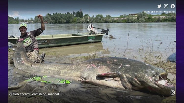 Man catches what may be biggest catfish ever reeled in