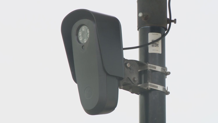 Future of Flock cameras in League City headed to November ballot