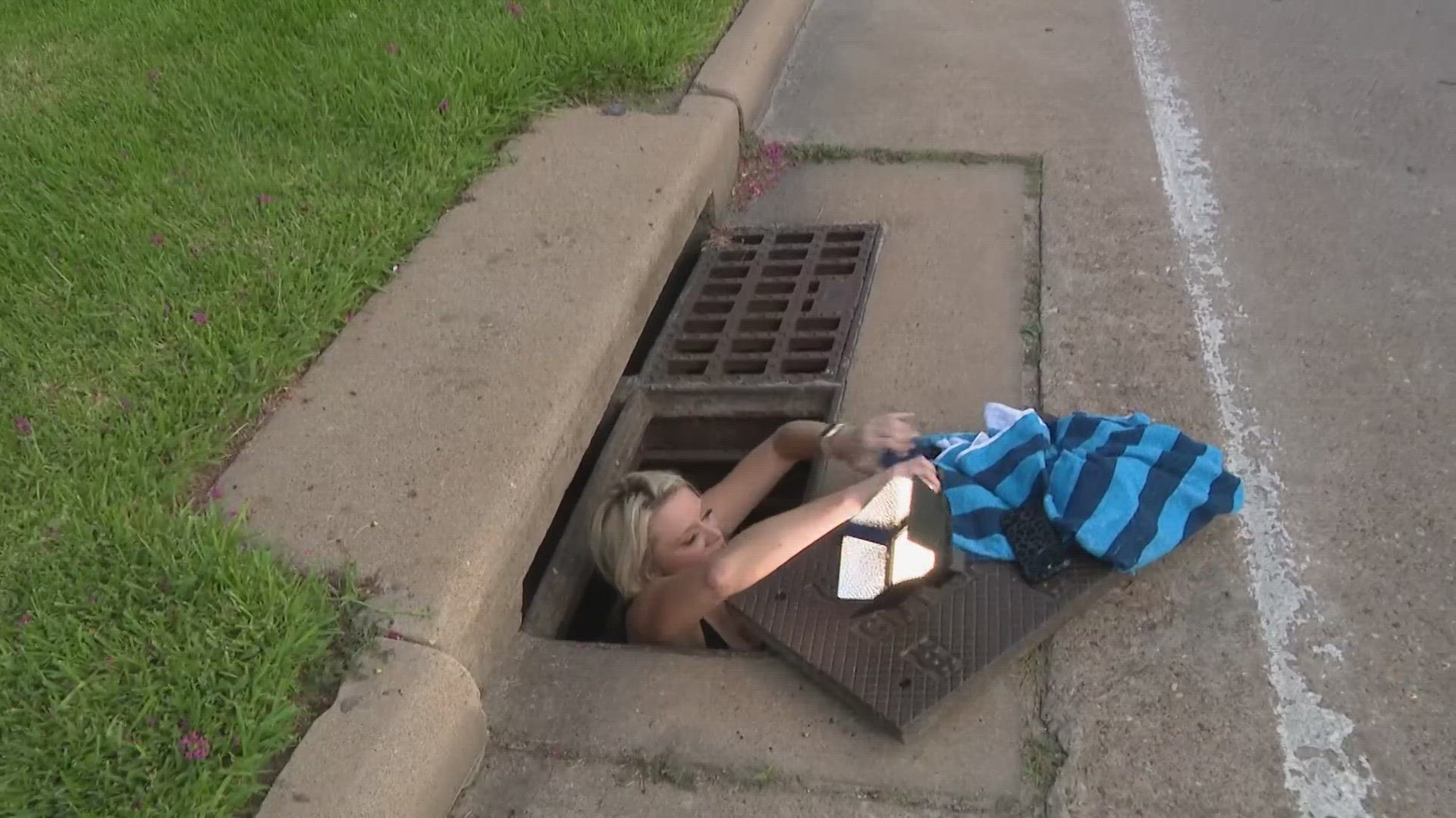 Over the past three days, Callie and a team of volunteers have been searching for a lost litter of puppies she says are trapped underground.