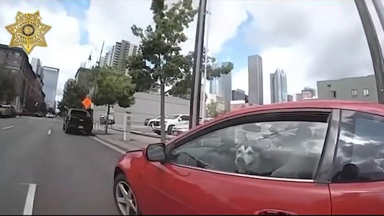 Pct. 1: Dog rescued after being in hot car in downtown Houston for two hours