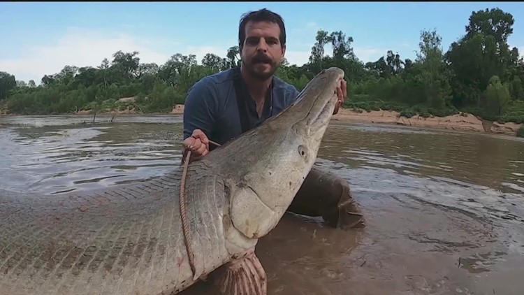 'Really, really big' | Man catches massive alligator gar in Houston bayou