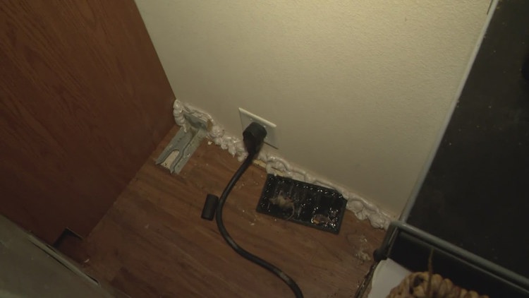 87-year-old Tomball senior says she’s desperate for help after months of living with mice