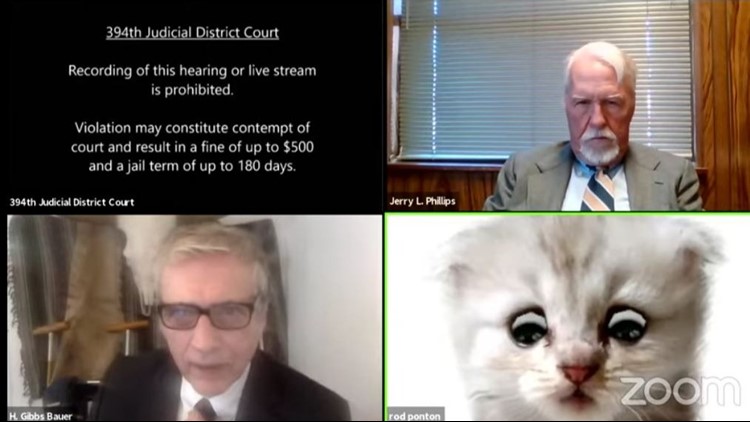 Oops! Attorney mortified when cat crashes Zoom call for Texas court case