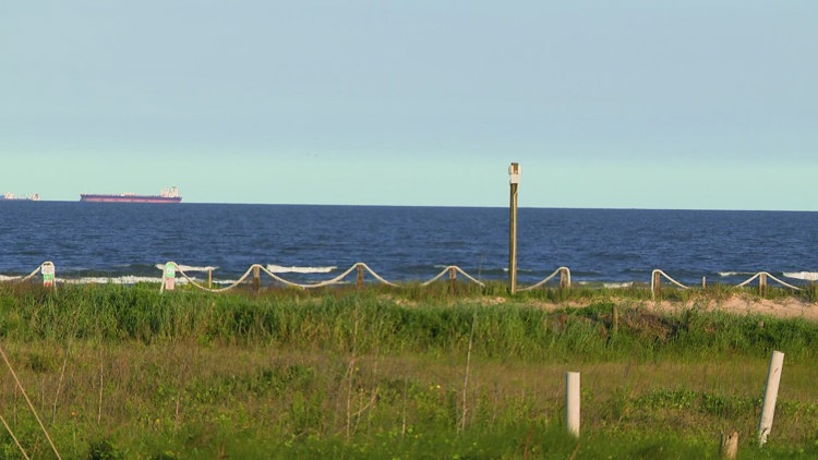 Father applies tourniquet after shark attacks teenage son miles off Texas coast