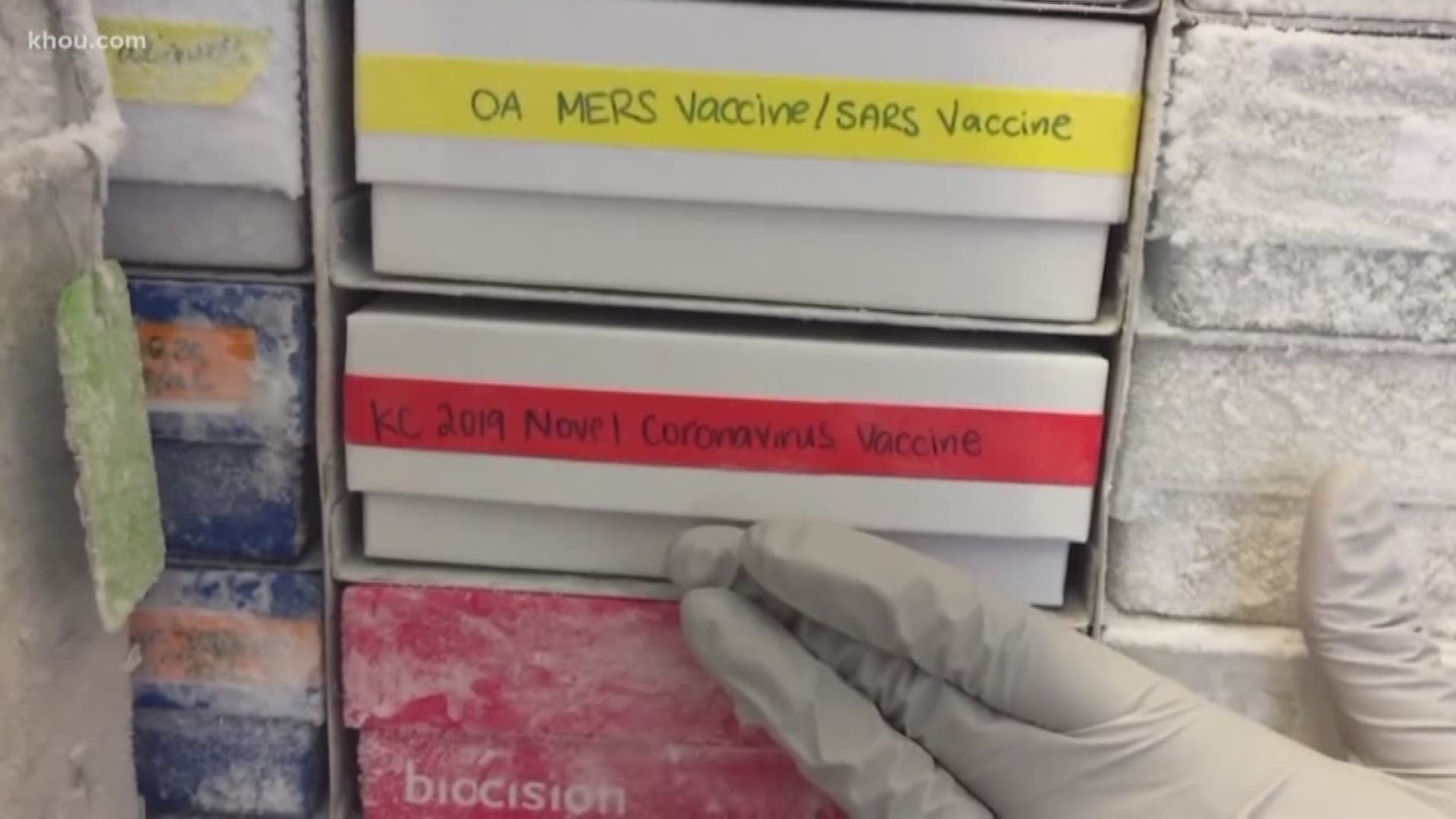 World-renown vaccine expert Dr. Peter Hotez warns against optimistic coronavirus vaccine timelines.