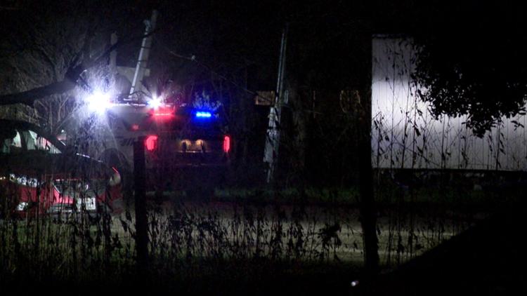 Deputies investigate suspected rooster fighting after dozens found dead in northeast Harris County