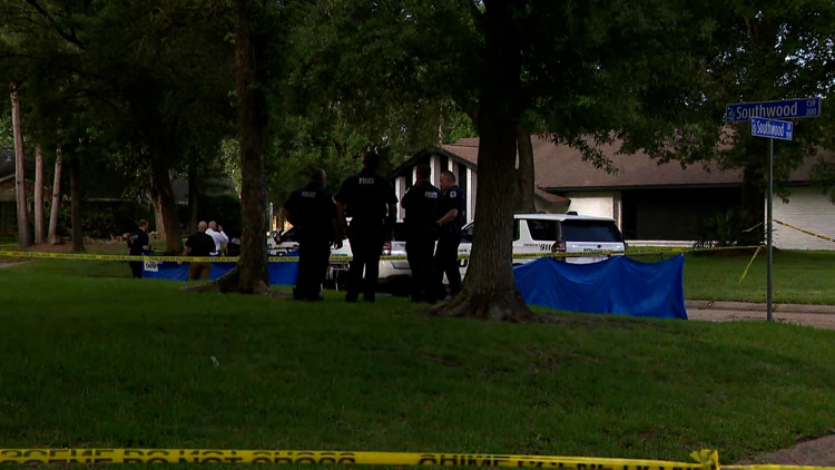 Wife, husband found dead in apparent murder-suicide in Baytown, police say
