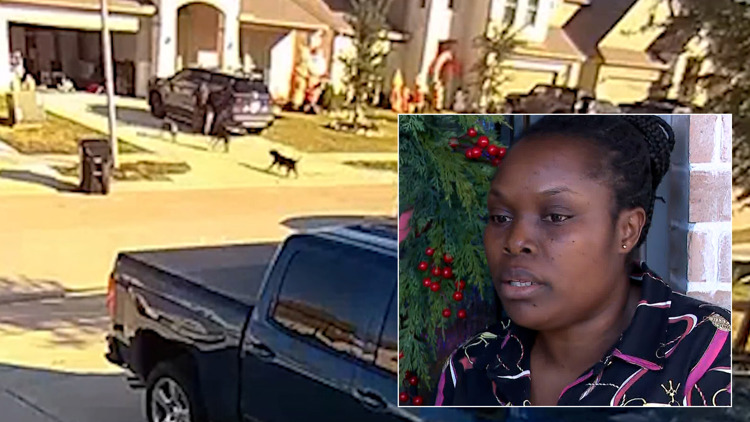 Killer dog pack in Katy leaves one man dead, mother injured while saving toddler