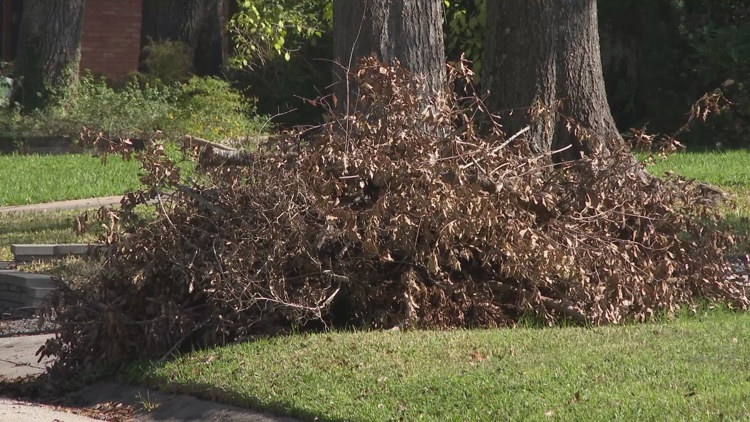 Whitmire announces third city-wide sweep for debris, heavy trash pick up as frustrations mount