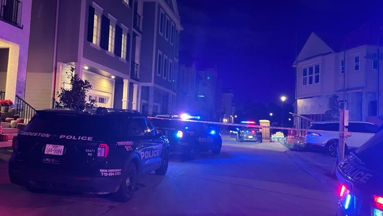 Houston mother allegedly killed daughter and then shot herself after losing custody, police say