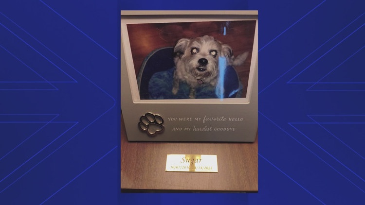 Burglars break into couple's Meyerland apartment and steal their late dog's ashes