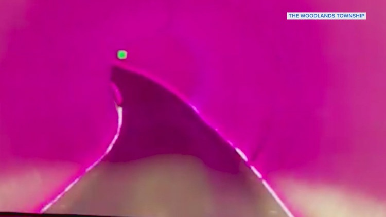 The Woodlands wasn’t picked for free underground tunnels from Elon Musk’s company | Here’s who was