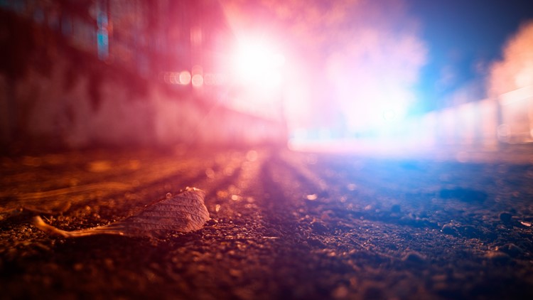Off-duty Lakeview police officer killed in motorcycle crash