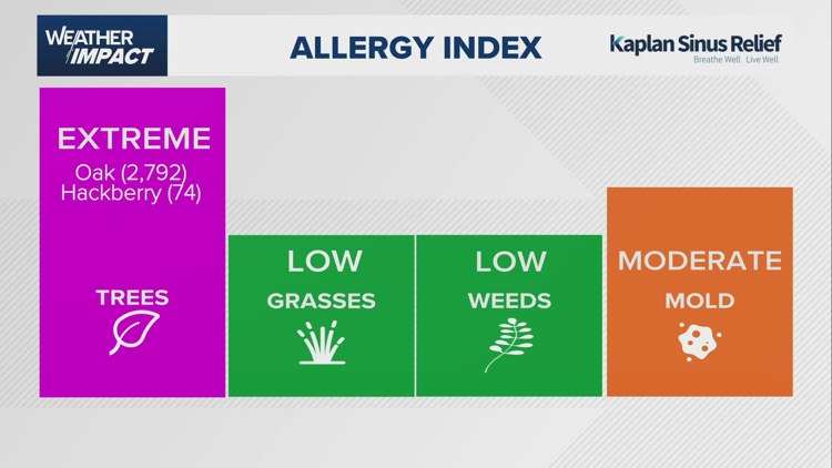 Houston faces persistent heat and morning fog amid allergy concerns