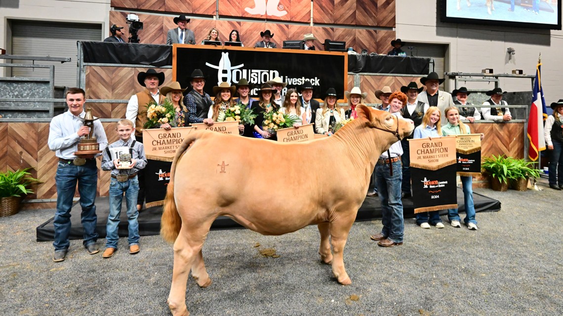 Steer Grand Champion ties Houston Rodeo's auction record