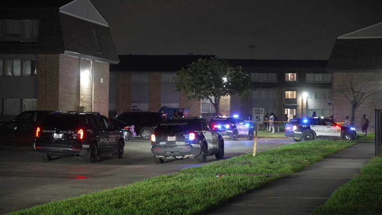 Police search for woman after deadly stabbing at Houston apartment complex