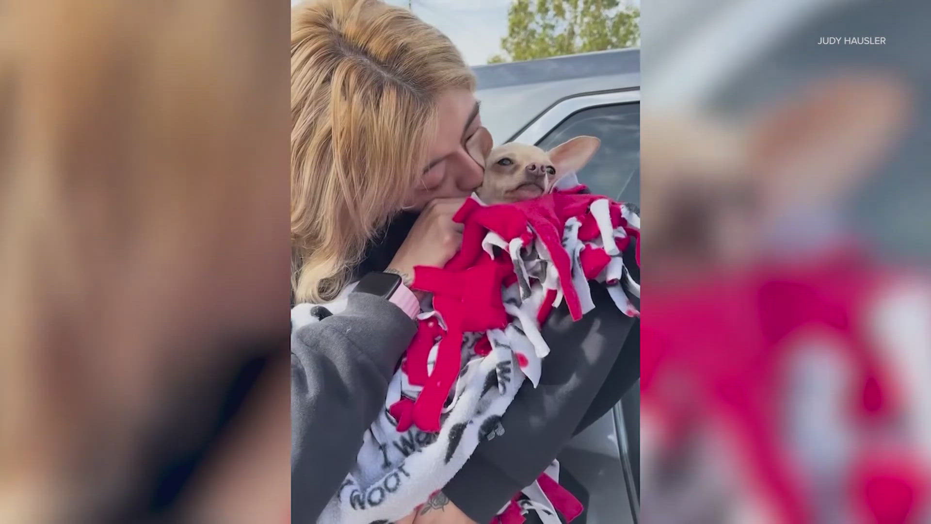 The dog was feisty when she was being rescued, but was in a much better mood when she was reunited with her family.