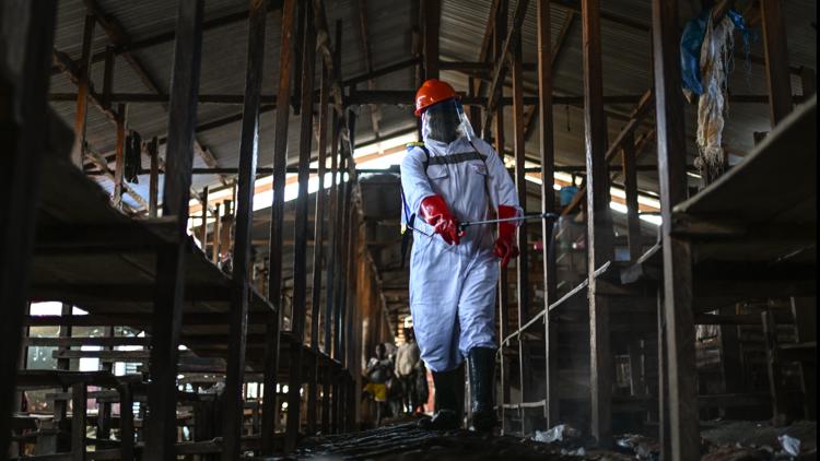 Ebola concerns reach Houston as global outbreak intersects with World Cup travel