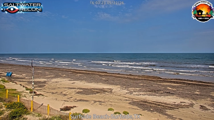 Freeport pauses seaweed cleanup at Bryan Beach to protect nesting sea turtles
