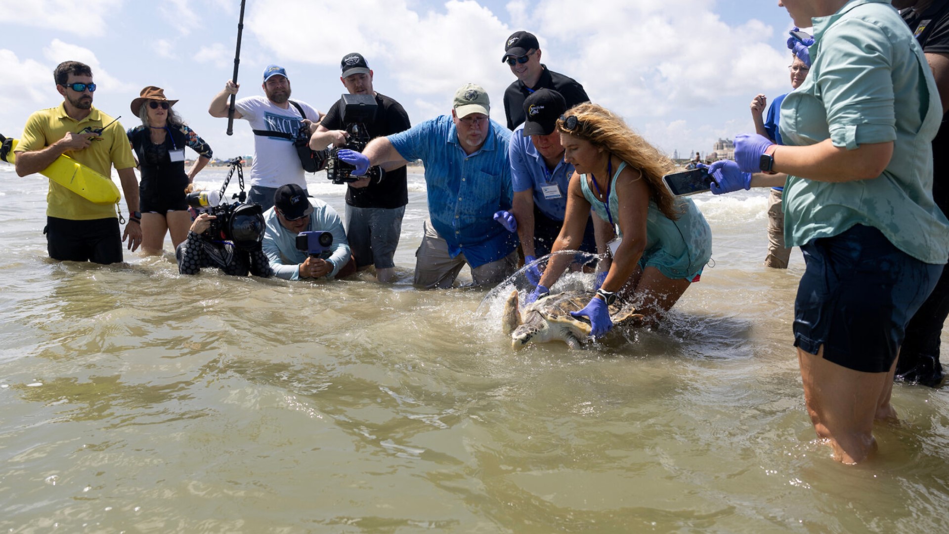 Tally's epic journey began nearly 2 years ago when she was carried all the way from the Gulf to Wales in the UK. An international team helped get her home to Texas.