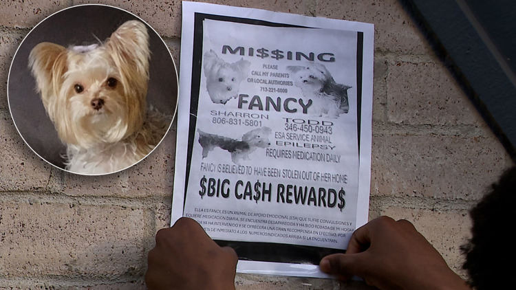 Houston-area family says beloved dog vanished after workers entered apartment