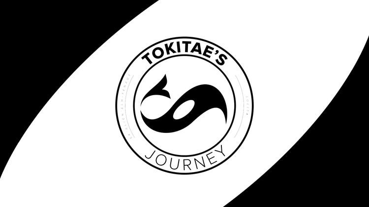 Tokitae's Journey