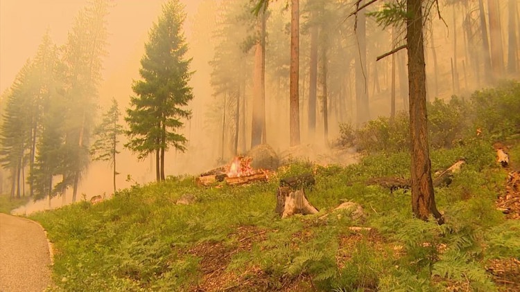 Little Giant Fire Spreads to 174 Square Miles Near Lake Chelan, Destroys Homes as Containment Lags