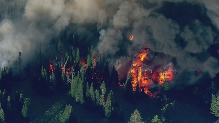 National Weather Service issues critical fire alert for Olympics, Cascades as lightning storms approach