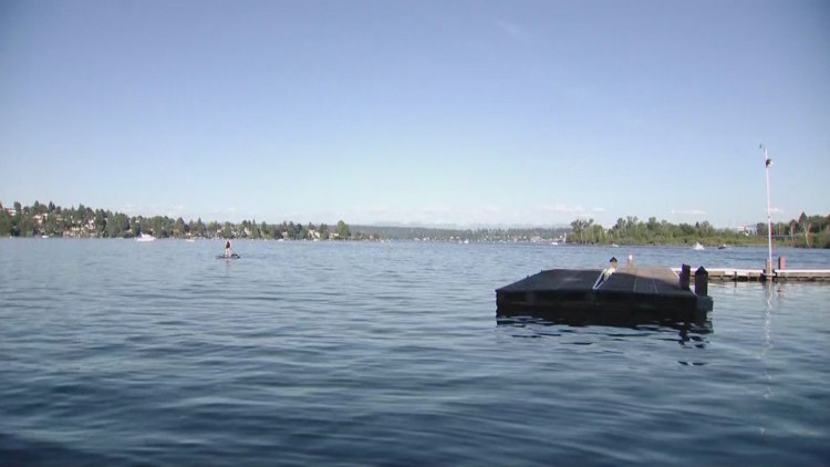 Man found dead in water near Montlake Cut