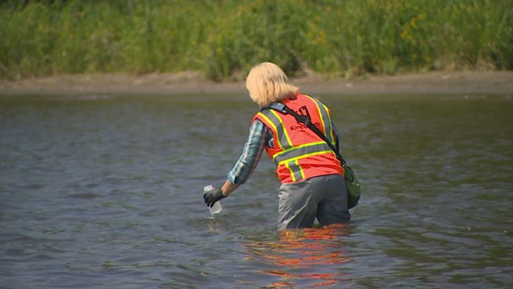 Kirkland's Juanita and Waverly beaches reopen after weeklong bacteria closure